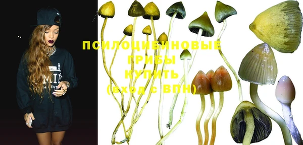 не бодяженный Новодвинск