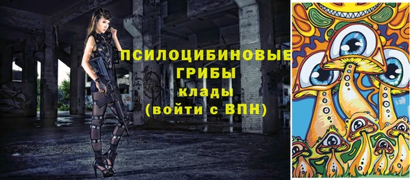 прущий лед Касимов