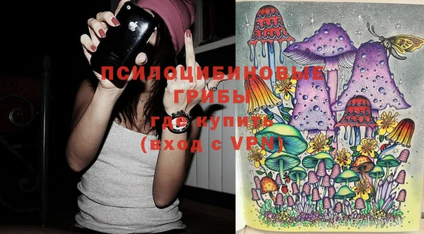 не бодяженный Новодвинск